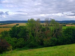 Panorama sur la vallée de la Seine - Norville